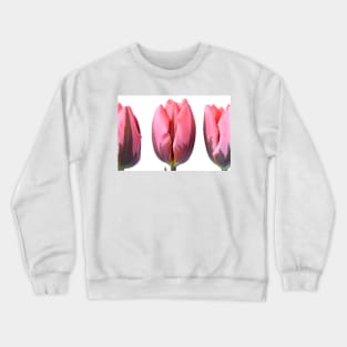 Tulipa &#39;Pretty Princess&#39; Triumph Group Tulip Crewneck Sweatshirt